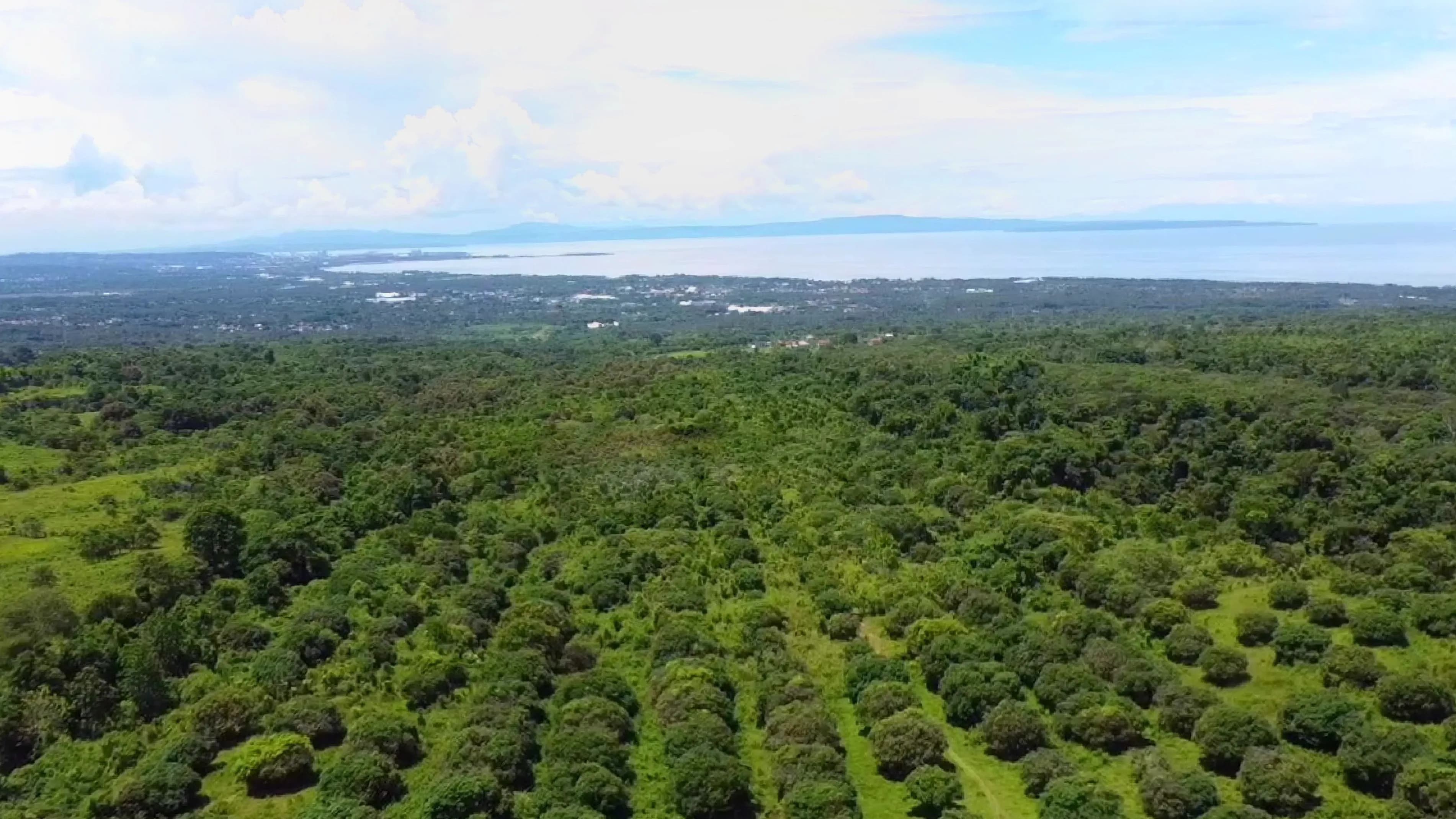 virendo-davao